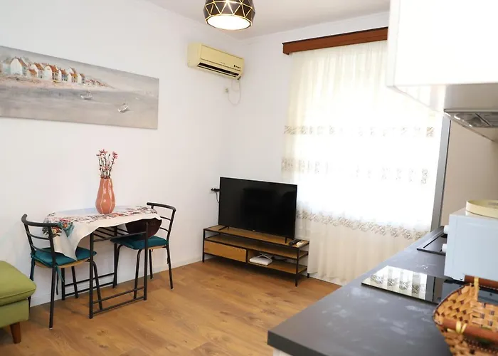 Daniel Center Apartament *